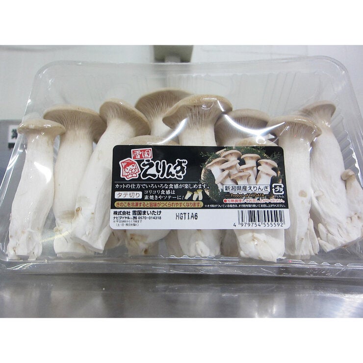 雪国えりんぎ500ｇ