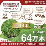 セルデス ナチュラル人工芝 1x10m 芝丈H35mm ＆ 人工芝専用U字固定ピン 50本 セット