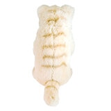 サンレモン ひざねこすやすや L サイズ-キイロ