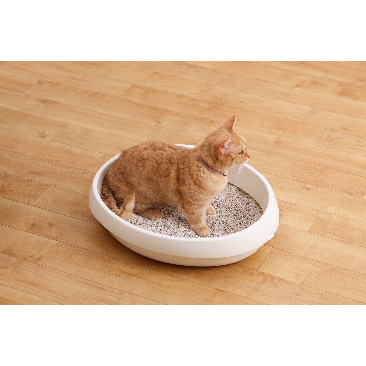 クリーンサンド 無香料猫砂 5L x 4袋