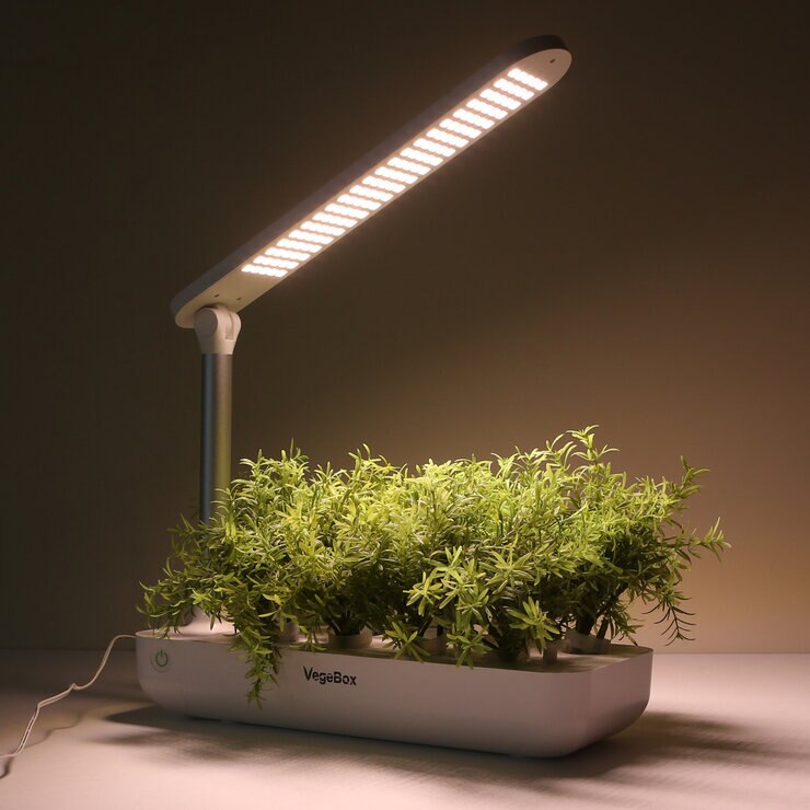 コアファクト べジボックス T ボックス