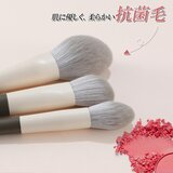 ENERGY メイクブラシ9本セット 芳華シリーズ