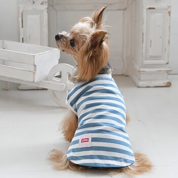 EDWIN ドッグシャツ 6色 セット 5 サイズ