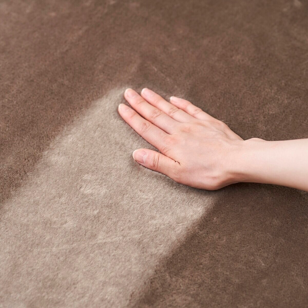 アイリスオーヤマ ラ・クッションラグ 低反発タイプ 185cm x 185cm アイリスオーヤマ ラ・クッションラグ 低反発タイプ 185cm x 185cm