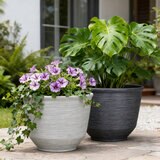 Blaire 56cm 樹脂製 プランター オイスターホワイト