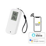 Edison Smart(エジソンスマート) 温度湿度センサー（Wi-Fi） IP65 防水タイプ DTS-TH13WH