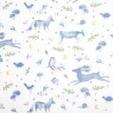 エイデンアンドアネイ オーガニック スワドル 2枚セット 120cm x 120cm アウトドア