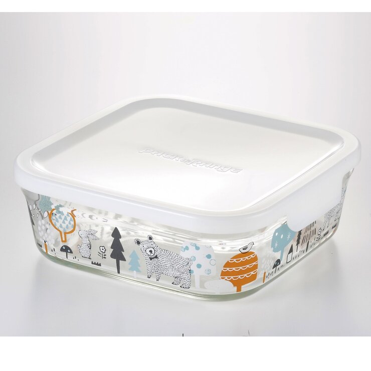 イワキ ニューパック & レンジ シンジカトウシリーズ 800ml 2点セット