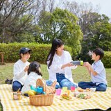 ブリタ ボトル型浄水器 フィル&ゴー アクティブ ディスク2枚入り ライム