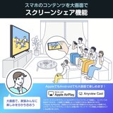 ハイセンス 55インチ 4K 液晶テレビ 55E6N TV