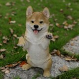 ウービア 手をあげる柴犬の置物H21048