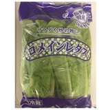 ロメインレタス 2株