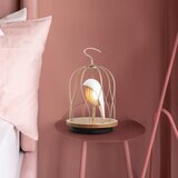 ダキコンセプト ジングーエス LED照明＆Bluetoothスピーカー アイボリーホワイト