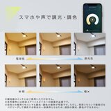Edison Smart（エジソンスマート）ミニシーリングライト 引っ掛けシーリング用 ブラック RST-TZ367LBK