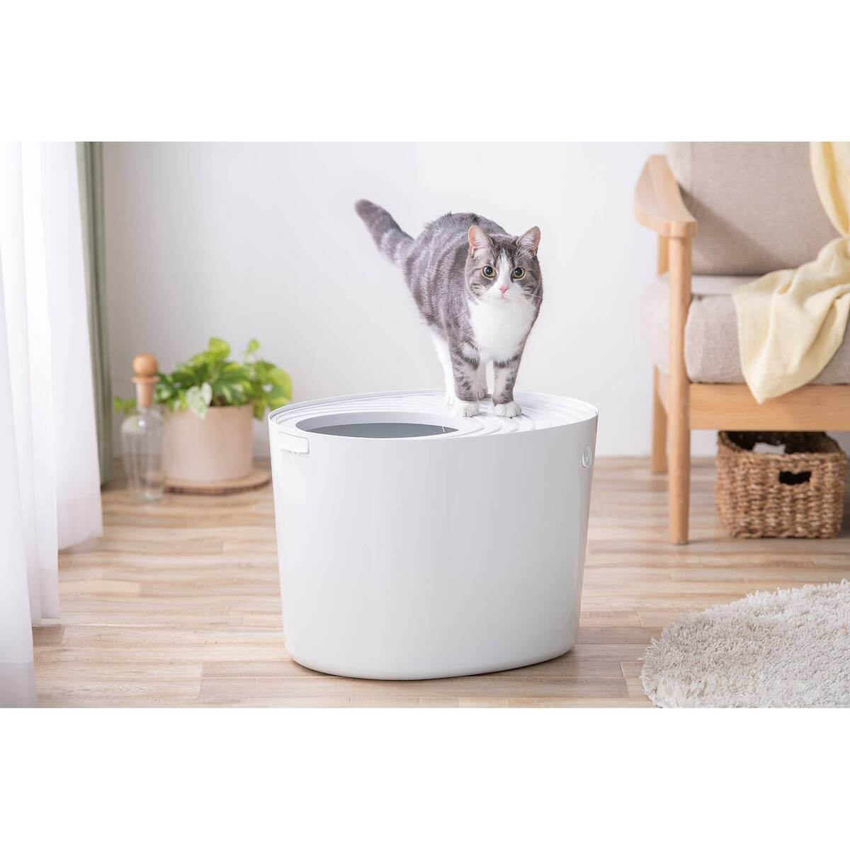 アイリスオーヤマ 上から猫トイレ 2色 | Costco Japan
