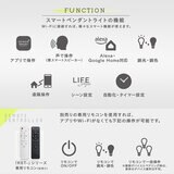 Edison Smart（エジソンスマート）ペンダントライト ダクトレール用 ブラック RST-PL01BK