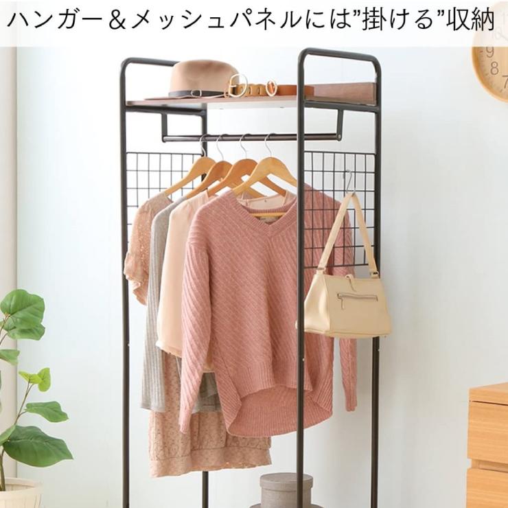 アイリスオーヤマ スタイルハンガー2WAYタイプ プレミアム メッシュパネル付 ブラック PI-B4