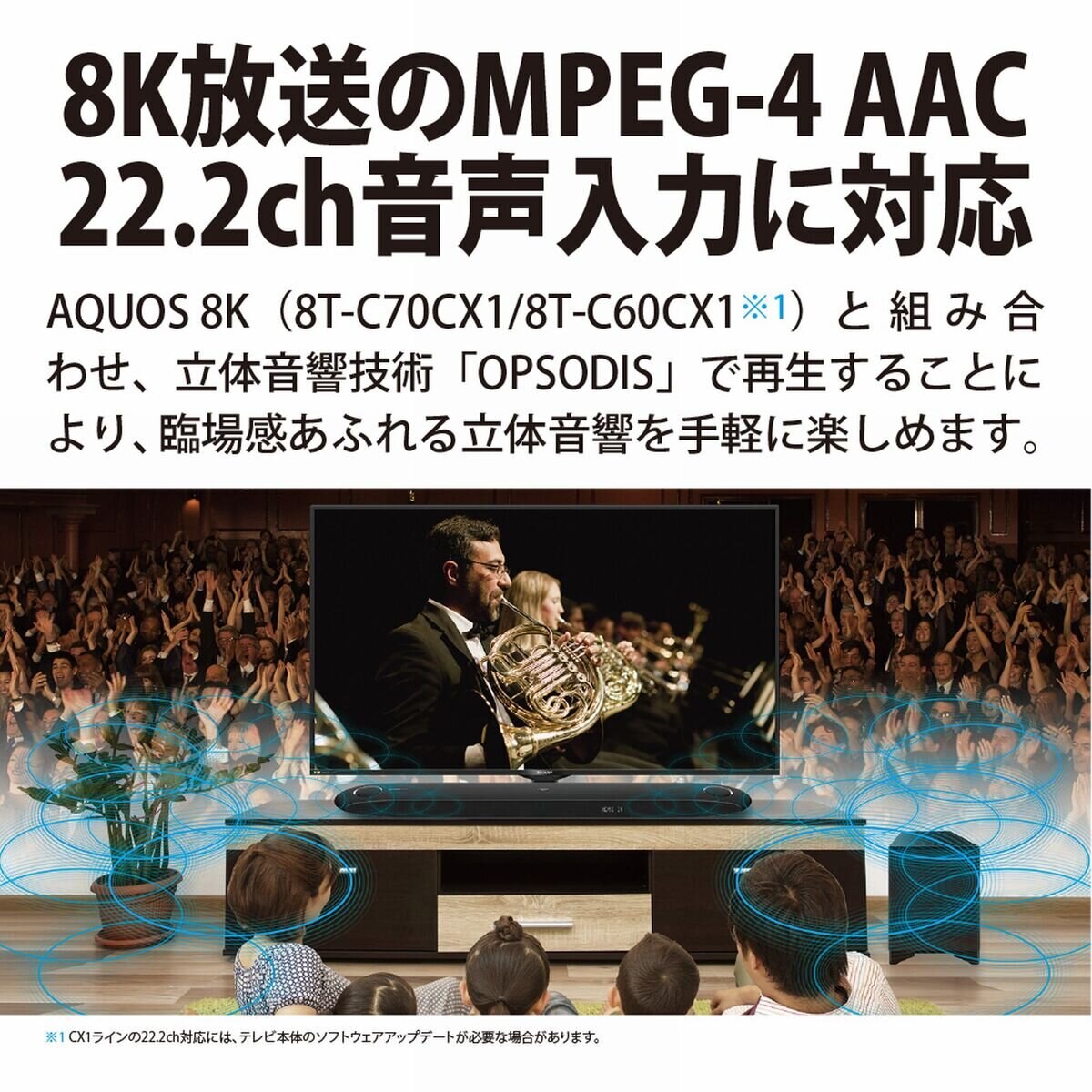 シャープ アクオス 8K放送 22.2 ch対応 シアターバーシステム 8A-C22CX1
