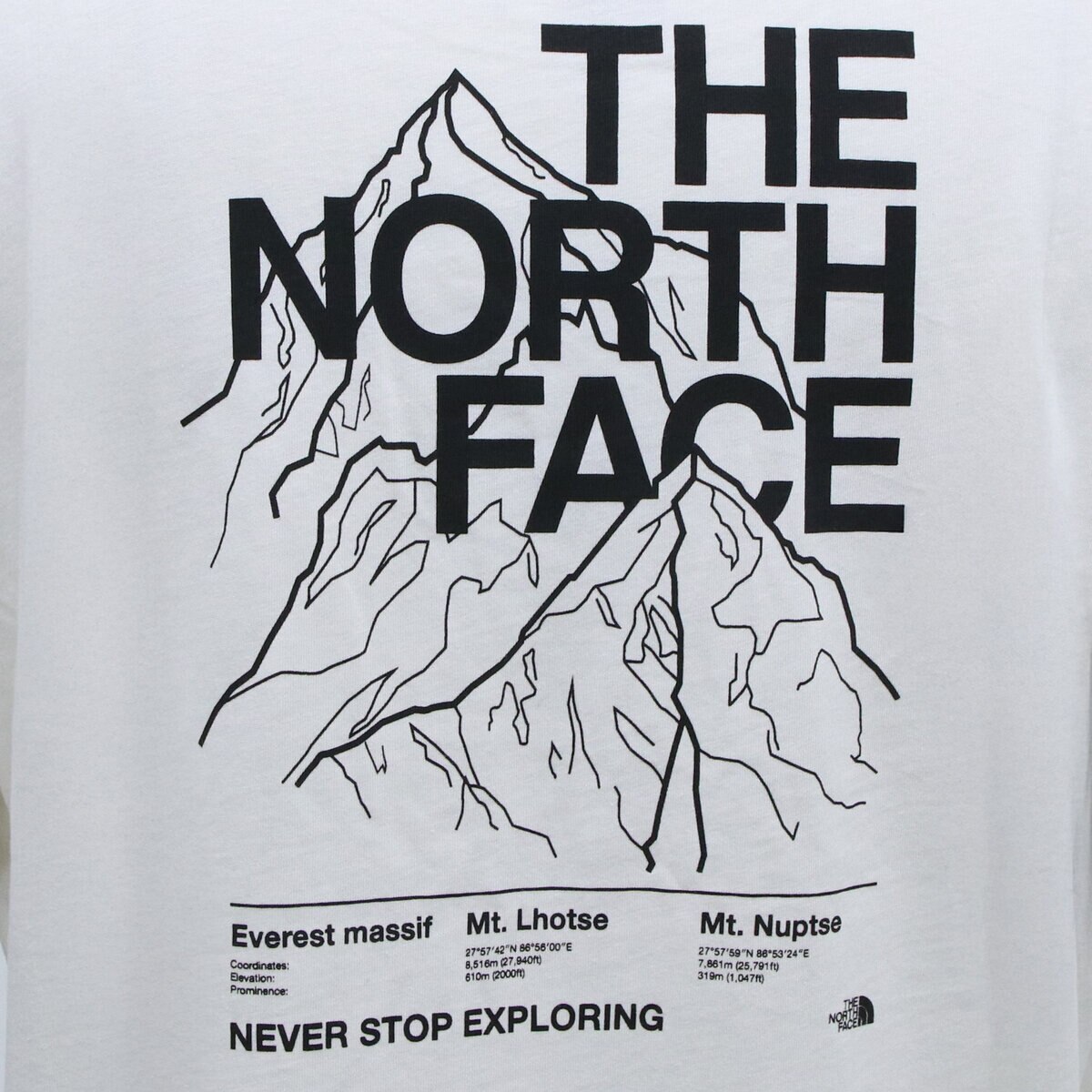 ザ ノースフェイス メンズ エボリューション ハーフ ドーム 半袖 Tシャツ ホワイト S