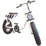 ROCKA FLAME 20インチ 電動アシスト ファットバイク FUMA メタルホワイト