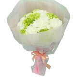 カーネーション 24本 ホワイトミックス