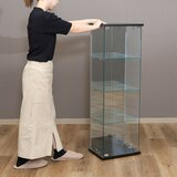 ガラスコレクションケース BAAL ブラック