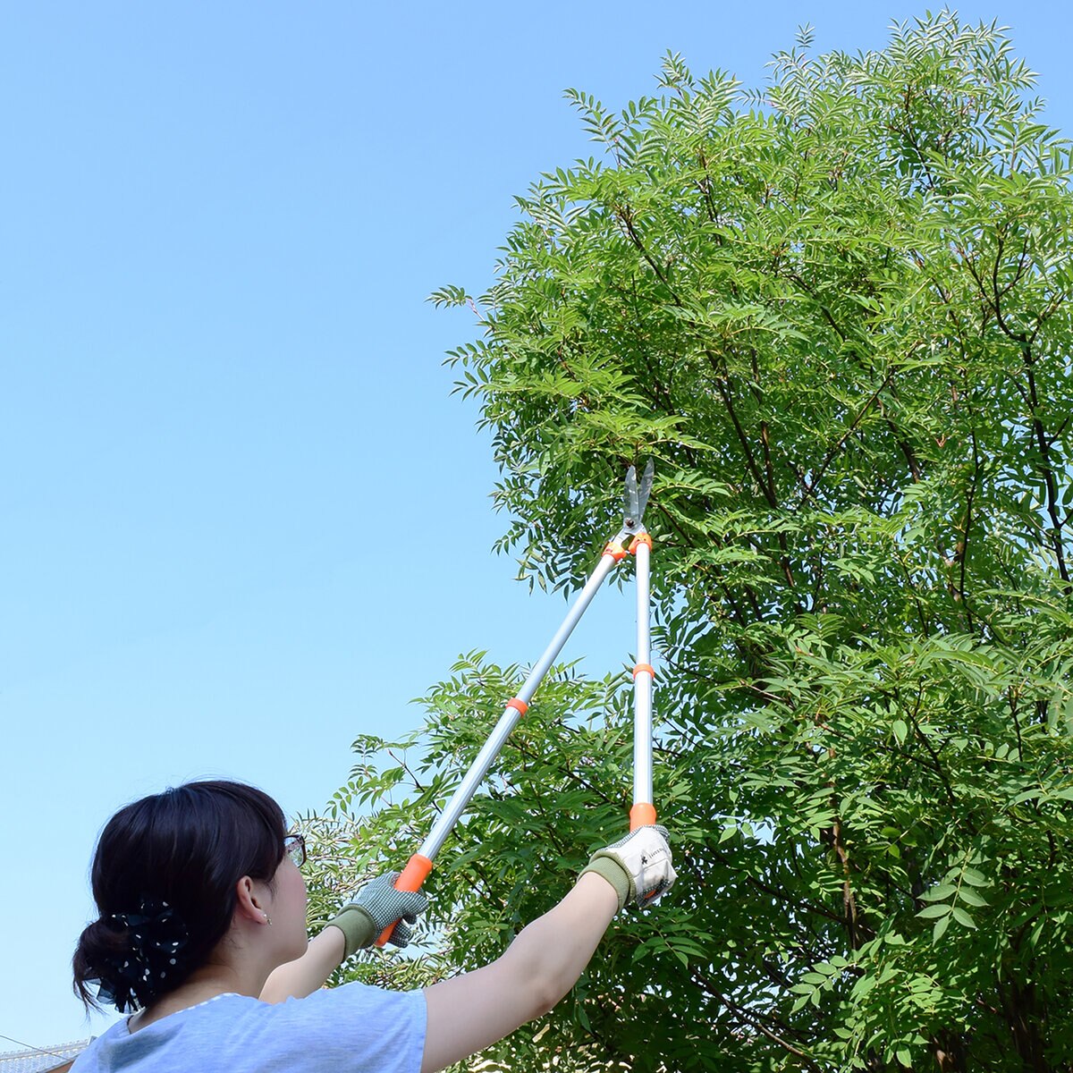 高儀 GREEN ART 伸縮刈込鋏MS-30