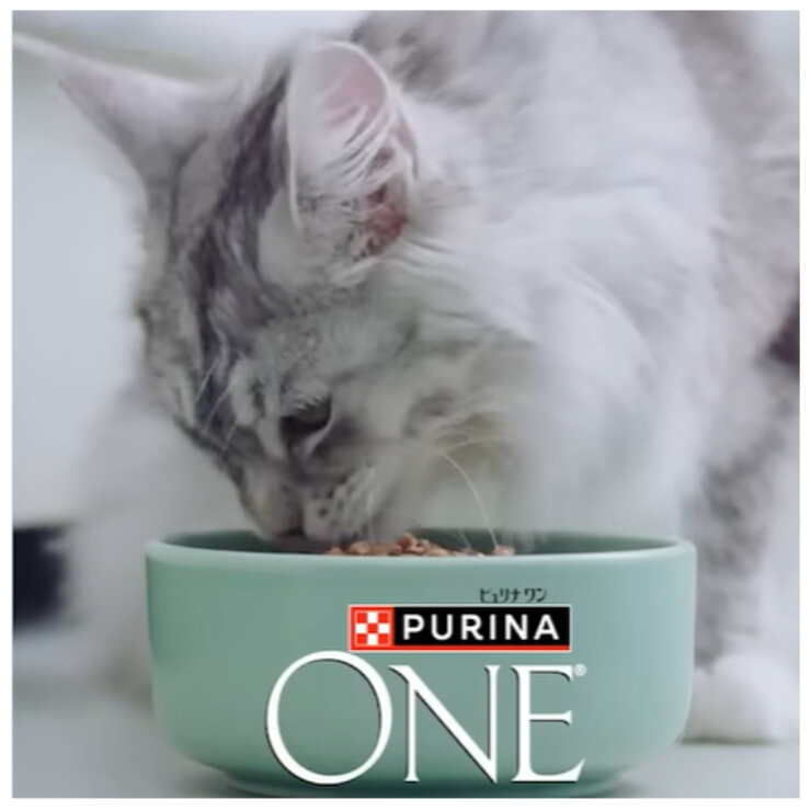 ピュリナワンキャット キャットドライ 4kg 避妊・去勢した猫の体重ケア チキン