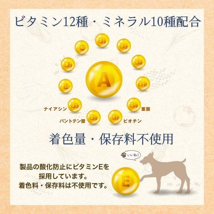 ファーストチョイス チョイスS 9kg 愛犬用 ファーストチョイス チョイスS 9kg 愛犬用