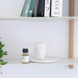 生活の木 シトラスコレクション エッセンシャルオイル 10mL アールグレイベルガモット
