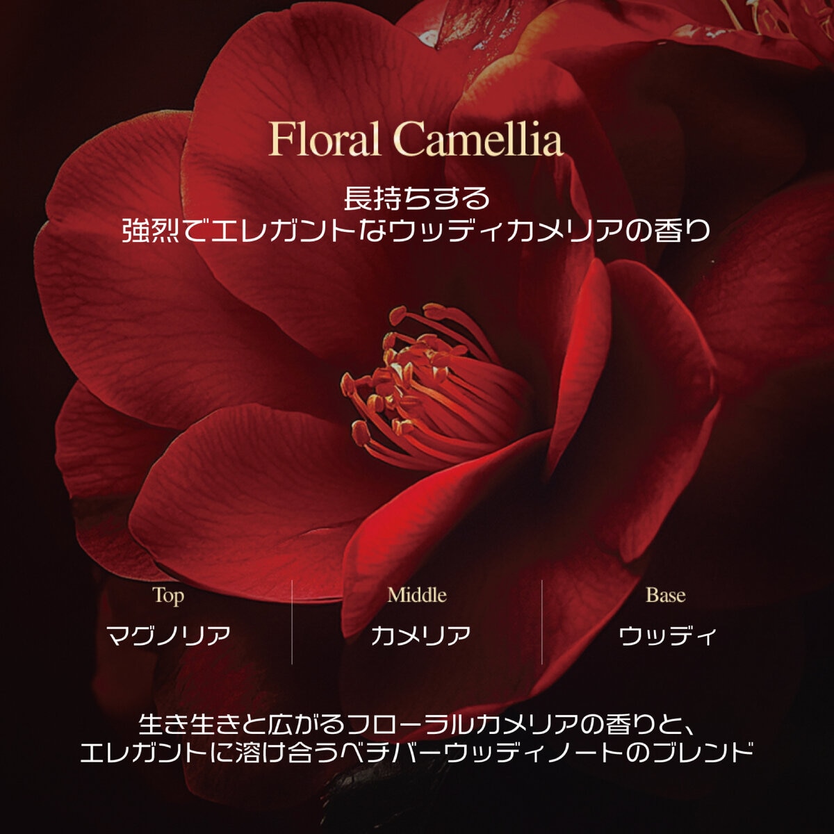 エラスティン カメリア インテンソ ヘアオイル 100g x 2