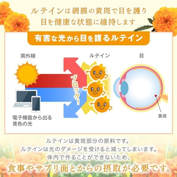 機能性表示食品 ひとみの恵®ルテイン40 60粒 機能性表示食品 ひとみの恵®ルテイン40 60粒