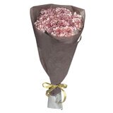 カーネーションの花束 24本 複色/紫白 母の日期間配送 お届け日5月6日～5月11日