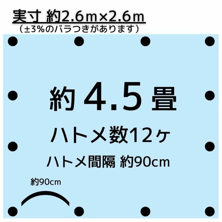 アイネット #3000ブルーシート 2.7 x 2.7m アイネット #3000ブルーシート 2.7 x 2.7m