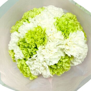 切り花 ブーケ Costco Japan 切り花 ブーケ Costco Japan