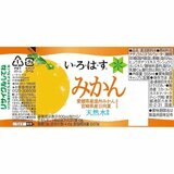 い・ろ・は・す ミカン味 555ml x 24本 x 2ケース ペットボトル