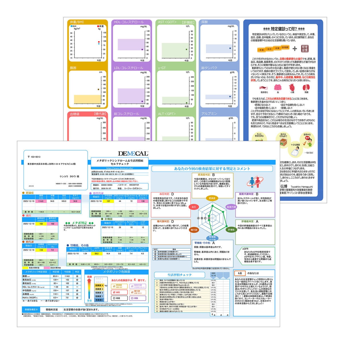 DEMECAL（デメカルキット）メタボリックシンドローム&生活習慣病セルフチェック