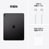 Apple iPad Pro 13インチ M4 WiFi 2TB 標準ガラス搭載 スペースブラック