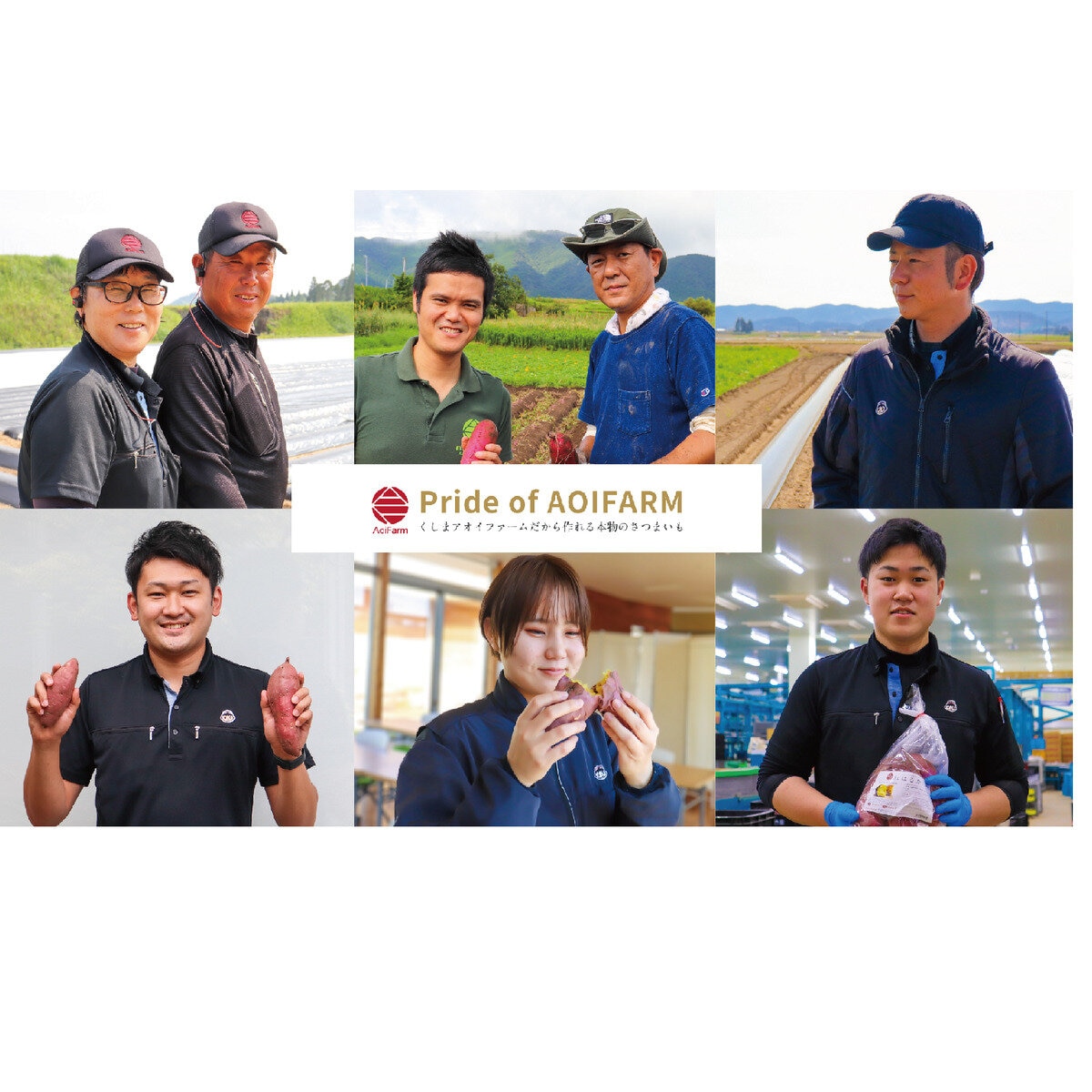 さつまいも 品種おためし6袋セット 合計9kg入り