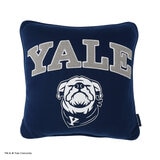 カレッジ デコピロー クッション 45 x 45cm