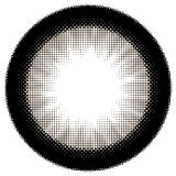 シャプン ワンデー みつめてブラウニー 10枚入り 齊藤なぎさイメージモデルカラコン 度なし (±0.00)