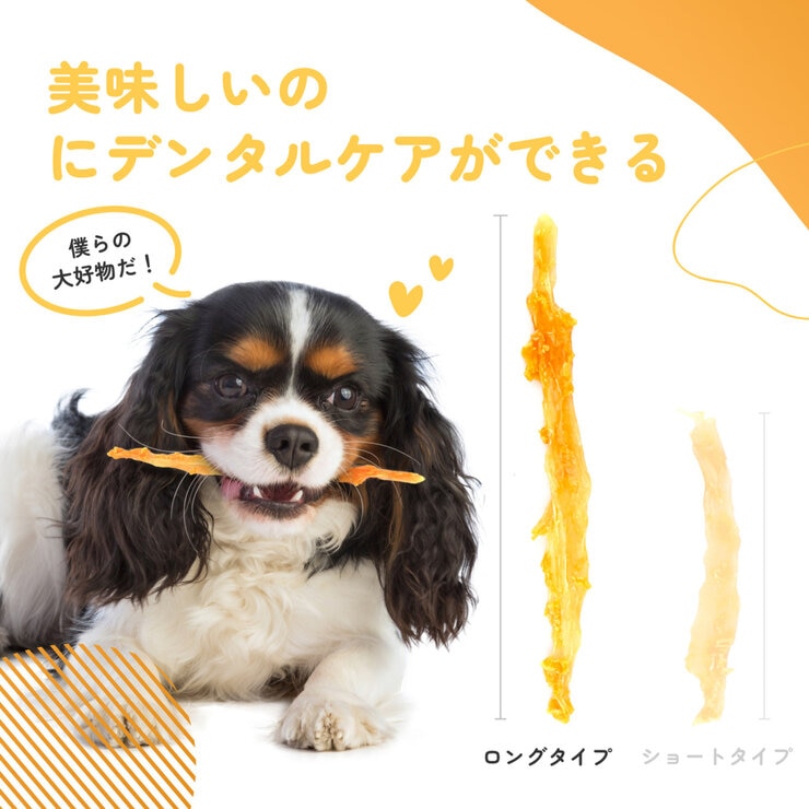 iPaw (アイポー) ターキーアキレス おやつ ロング 75g x 3袋 愛犬用 iPaw (アイポー) ターキーアキレス おやつ ロング 75g x 3袋 愛犬用