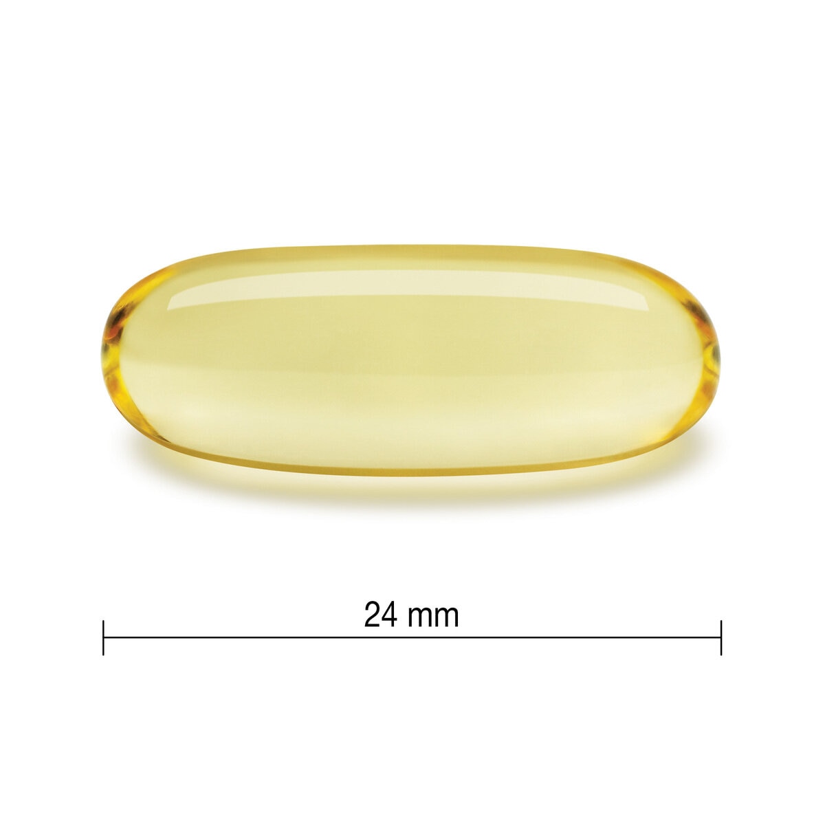 植物性オメガ3 120粒