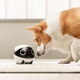 enabot ROLA Mini 愛犬・愛猫・家族のコンパニオンロボット enabot ROLA Mini 愛犬・愛猫・家族のコンパニオンロボット