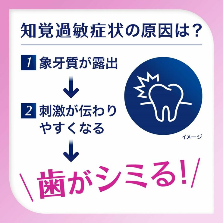 薬用シュミテクト歯周病ケア 100g x 5 薬用シュミテクト歯周病ケア 100g x 5