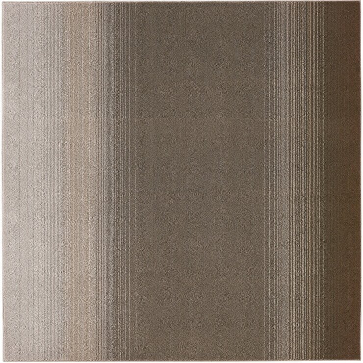 スミノエ ペット消臭ラグ マール 130 x 190cm スミノエ ペット消臭ラグ マール 130 x 190cm