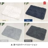 Ask Doctors 抗菌防臭バスマット 35cm x 50cm 2枚組