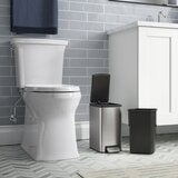 Kohler（コーラー）6リッター ステンレスゴミ箱 ２個セット シルバー