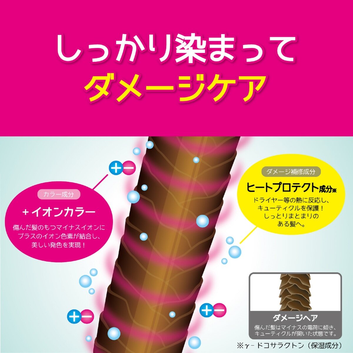 TOTTIMO! ディップカラー トリートメント 500g x 2 ピンク | Costco Japan