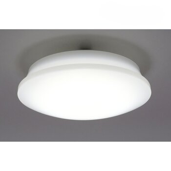 アイリスオーヤマ エコハイルクスLEDシーリングライト６畳用 3,300ルーメン CL6D-5.1